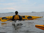 kayak rescues