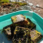 Chocolate Pistachio Squares