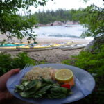 Meal of Rice, Salmon, and Spinach